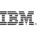 IBM 01EJ599 - 3.84TB 12G 2.5INCH RI SAS SSD - Refurbished